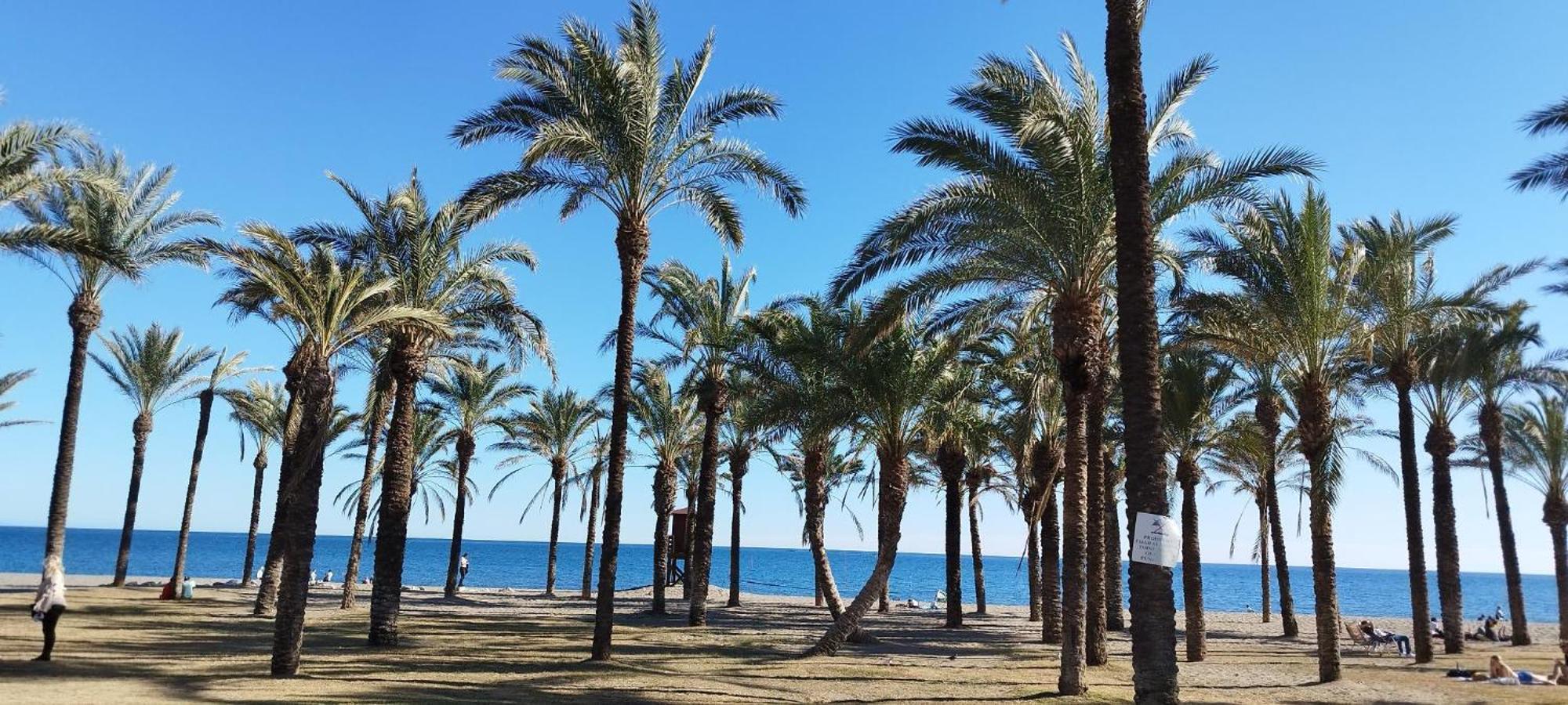 San Antonio - Beach, Pool And Terrace Torremolinos Exteriér fotografie